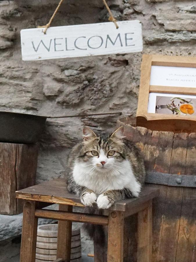 Pensione Albergo Diffuso Ceaglio Valle Maira Marmora Eksteriør billede